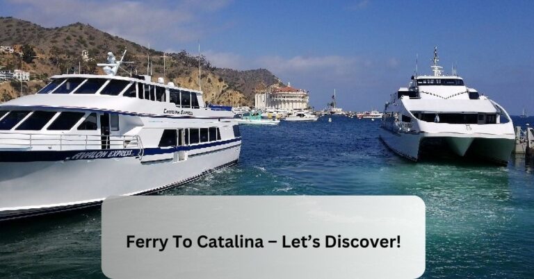 Ferry To Catalina – Let’s Discover!